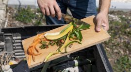 Tips mengolah sampah makanan rumah tangga menjadi kompos (Foto: Freepik)