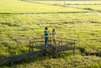 Illustrasi fenomena avoidance attachments di ka lang ang gen Z (Foto: Pixabay) 