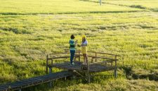 Illustrasi fenomena avoidance attachments di ka lang ang gen Z (Foto: Pixabay)