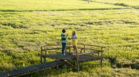 Illustrasi fenomena avoidance attachments di ka lang ang gen Z (Foto: Pixabay) 