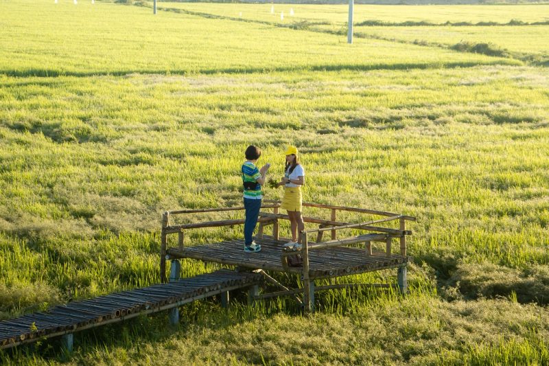 Illustrasi fenomena avoidance attachments di ka lang ang gen Z (Foto: Pixabay) 