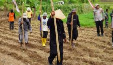 Polres Tasikmalaya melakukan penanaman jagung di Desa Janggala Kecamatan Sukaraja Tasikmalaya, dukung ketahanan pangan (Foto: Antara)