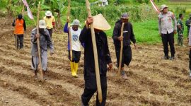 Polres Tasikmalaya melakukan penanaman jagung di Desa Janggala Kecamatan Sukaraja Tasikmalaya, dukung ketahanan pangan (Foto: Antara)