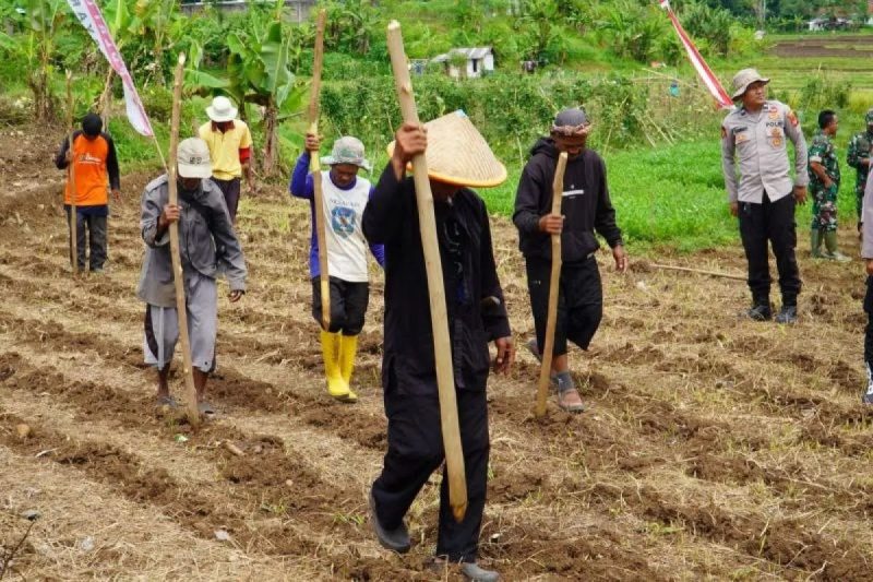 Polres Tasikmalaya melakukan penanaman jagung di Desa Janggala Kecamatan Sukaraja Tasikmalaya, dukung ketahanan pangan (Foto: Antara)